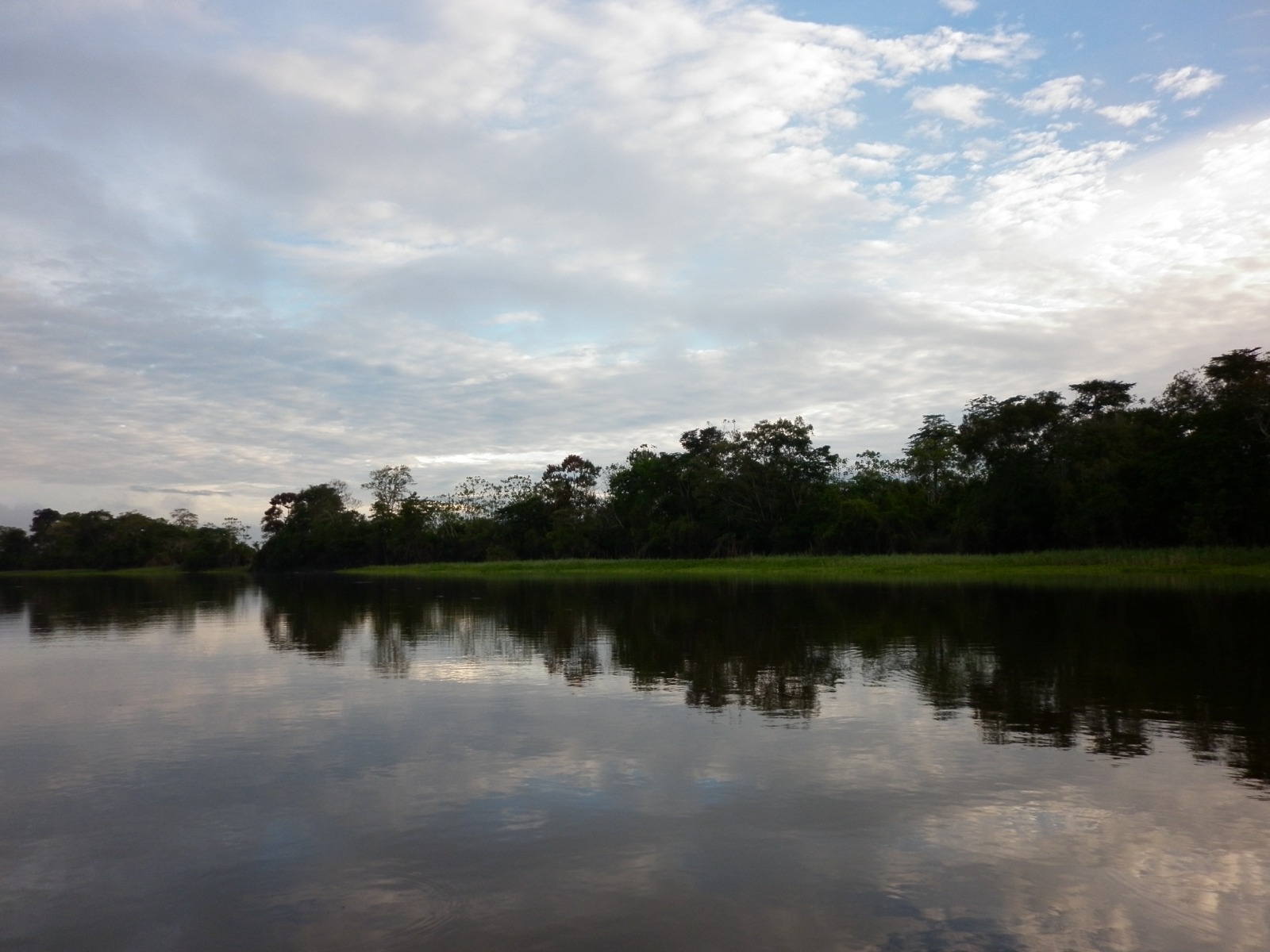 Colombia tiene dos nuevas áreas para la conservación de rayas en la Amazonía