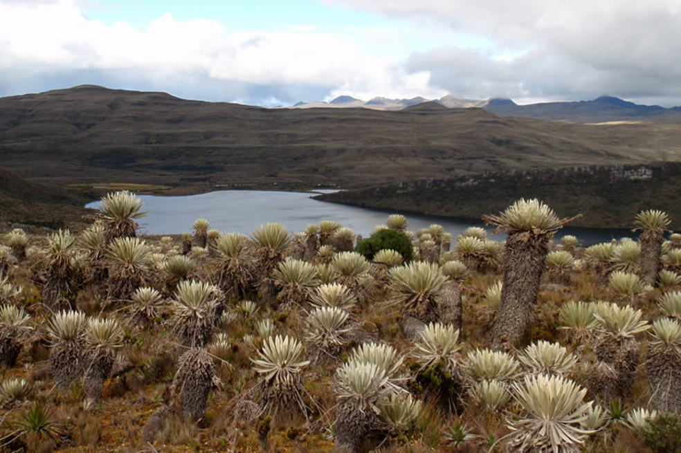 El Páramo de Sumapaz es el páramo más grande del mundo. 