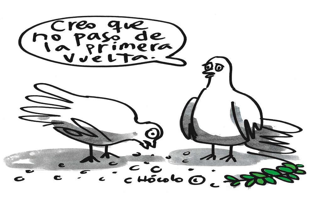 Chócolo