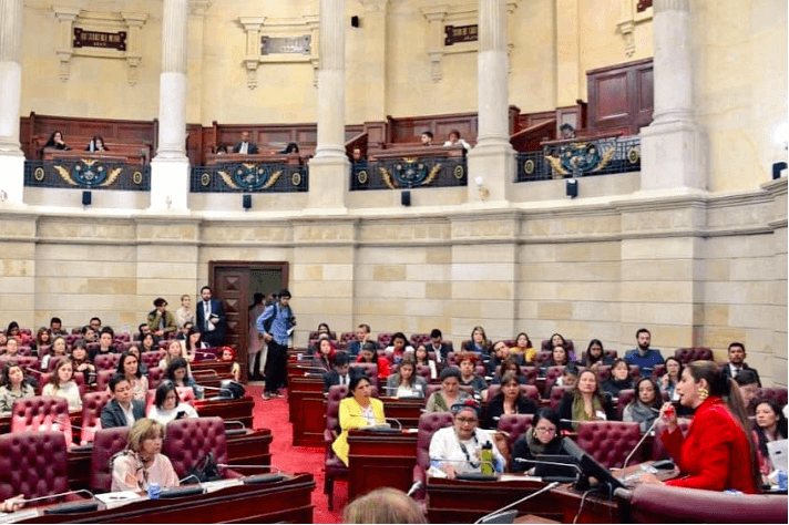 Parlamentarias piden presupuesto para las mujeres en el PND