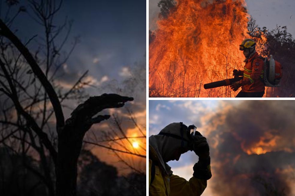 El Pantanal, el mayor humedal del mundo, registra uno de los peores incendios