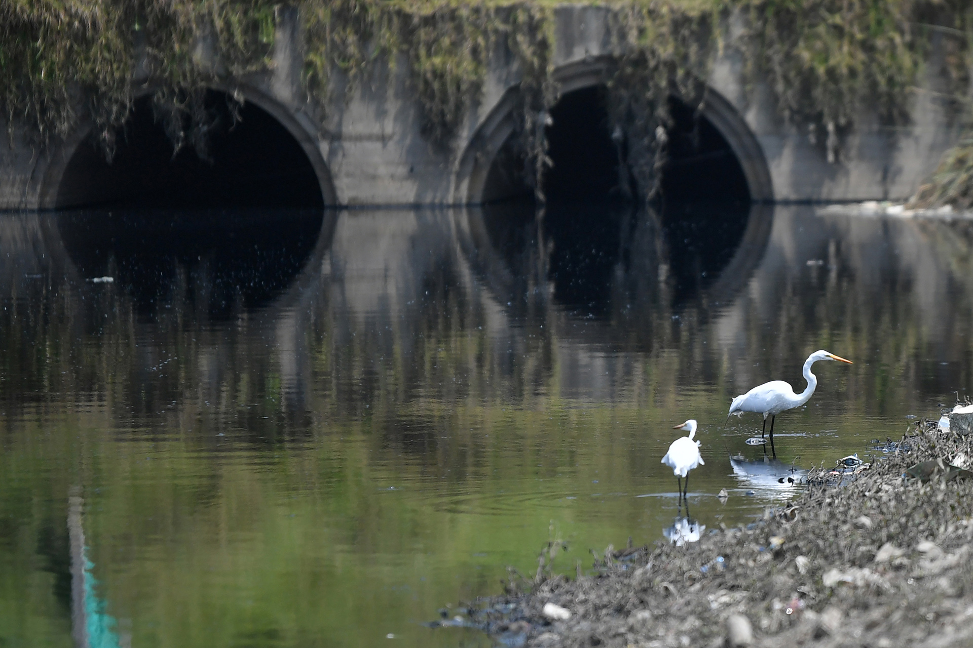 Humedales, aire y conexiones hídricas: desafíos ambientales para 2025
