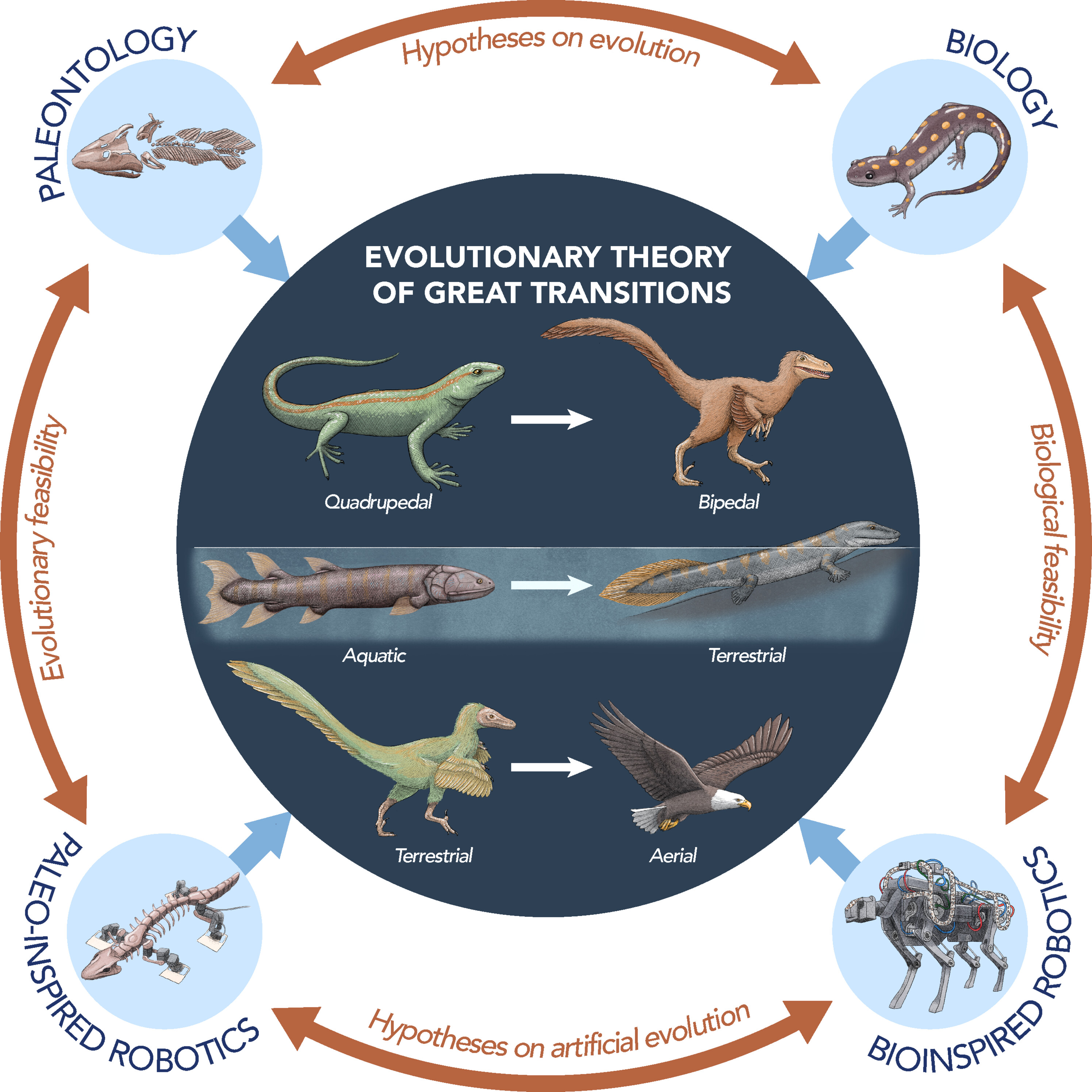 La combinación de paleontología, biología y robótica puede ayudar a los científicos a modelar animales del pasado, del presente y del presente.