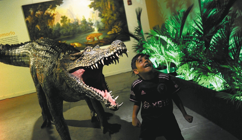 Los dinosaurios están en Colombia, más cerca de lo que podría imaginar