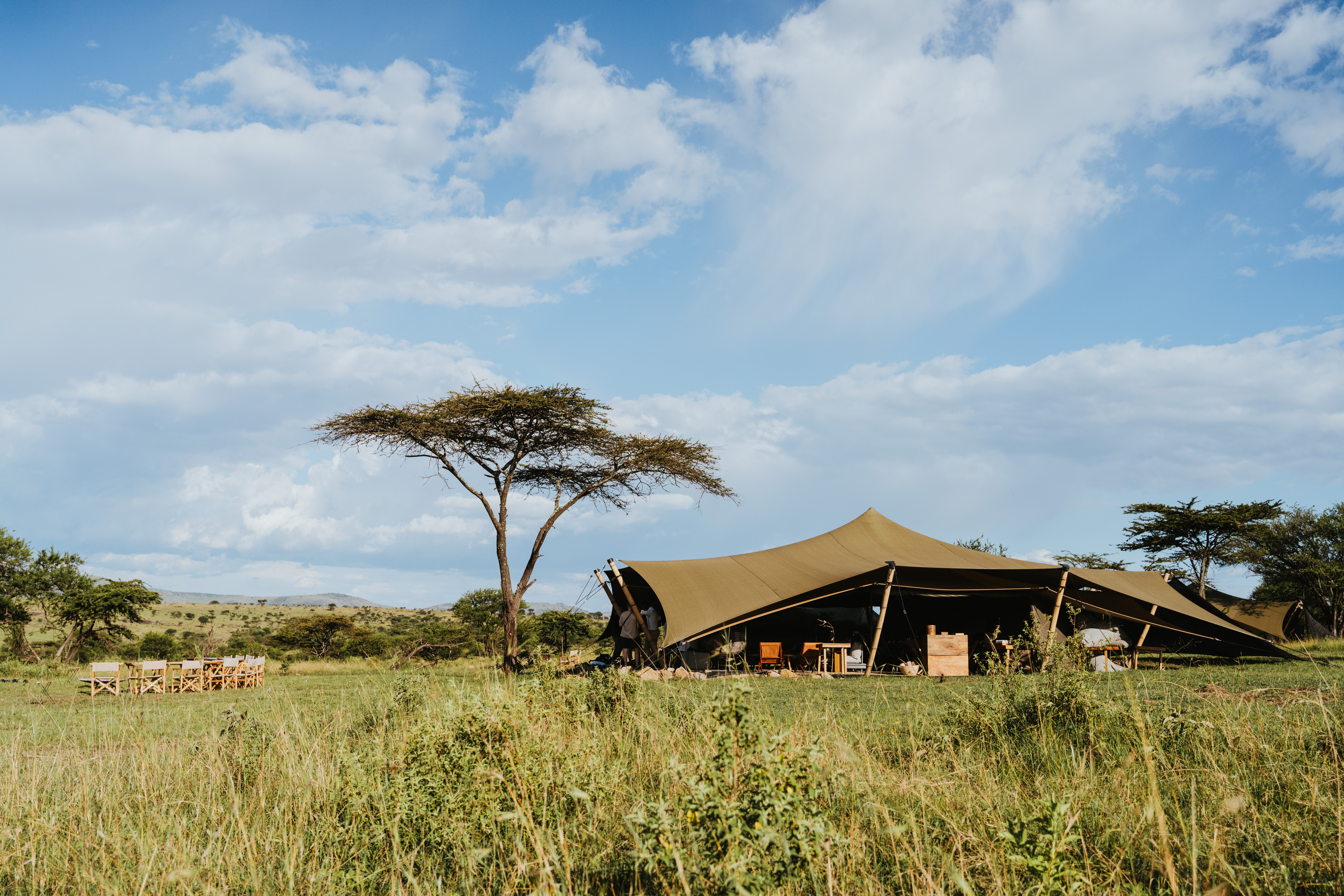 Cómo empacar para un safari: consejos útiles y esenciales