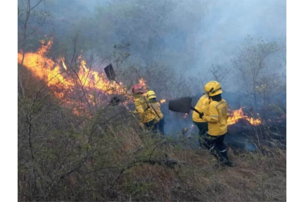 Emergencia ambiental en Cali: incendio forestal completa más de 40 horas