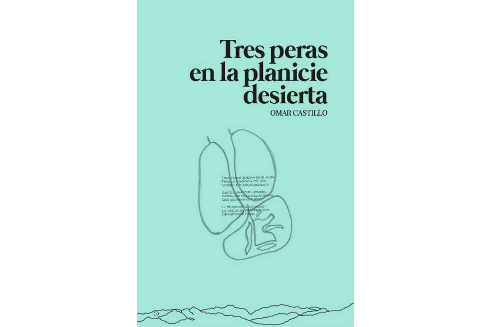 Figuras presumidas