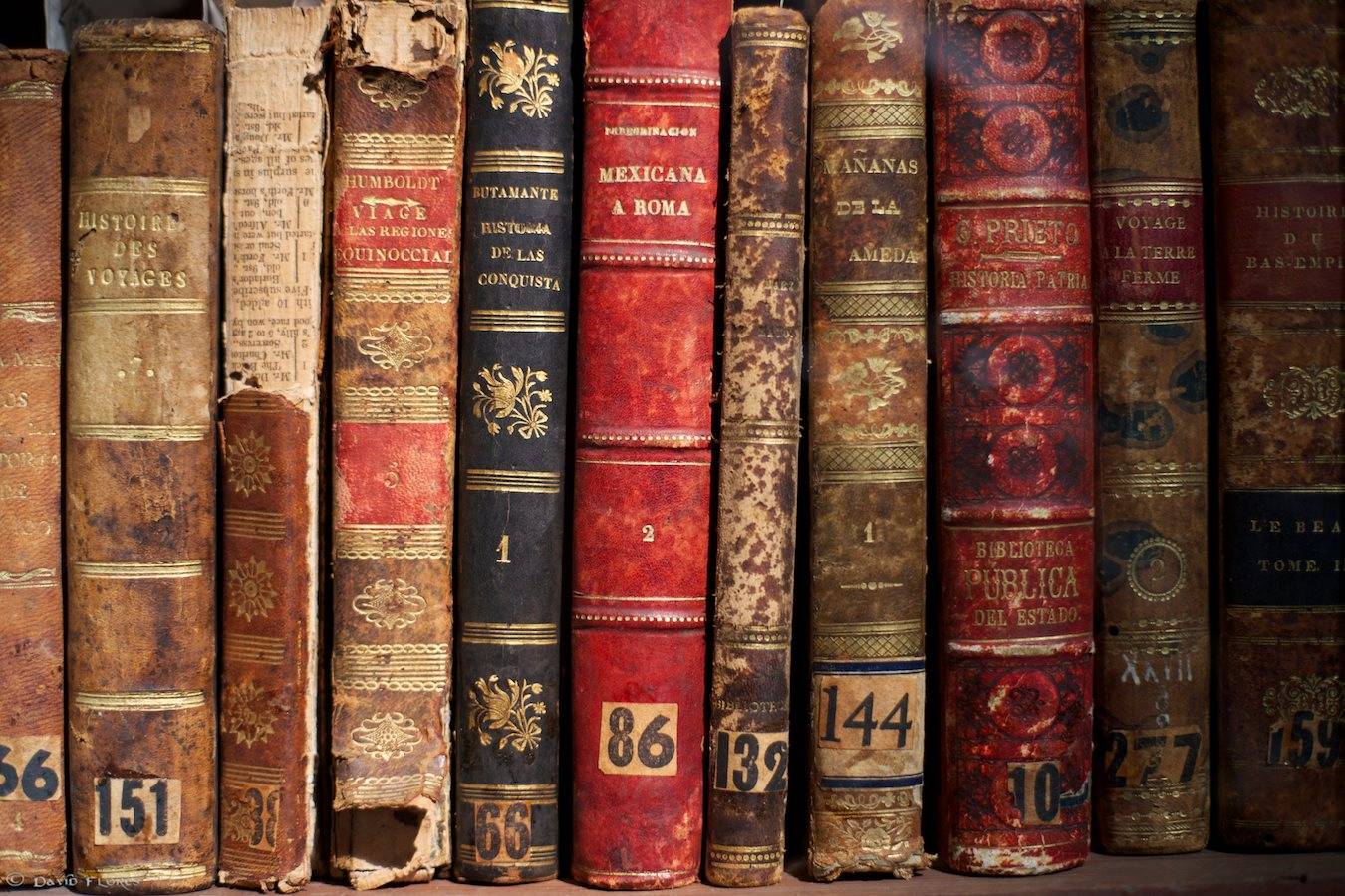 El triste círculo vicioso de la literatura colombiana (Opinión)