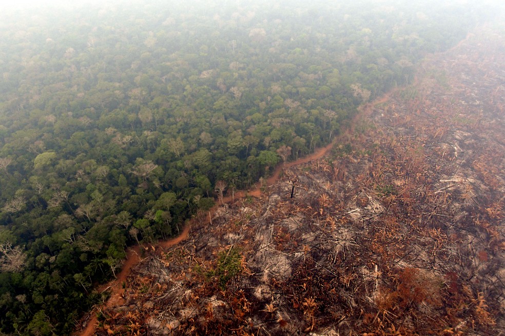 Deforestación en Amazonia brasileña registra un mínimo histórico