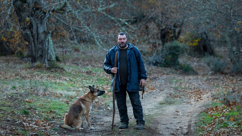 Este jueves llega a salas de cine “As Bestas”, la película con nueve premios Goya