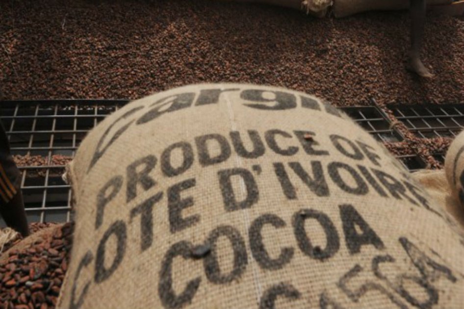 ¿Está el chocolate amenazado de muerte?
