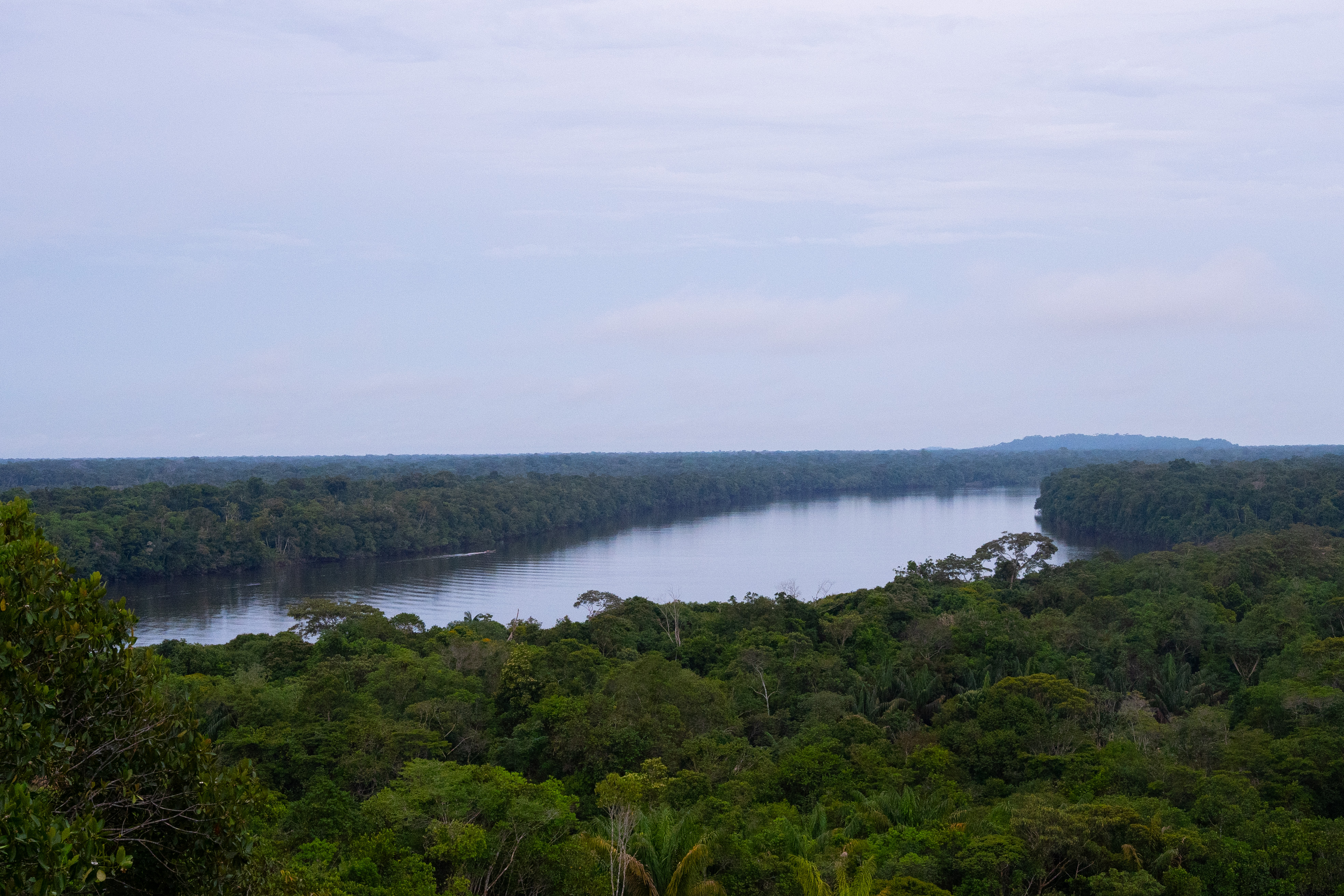Ya abrieron la convocatoria de becas Colombia Biodiversa para alumnos de pregrado y maestría