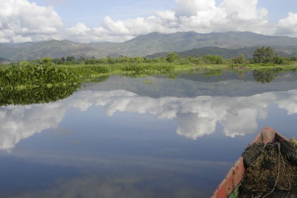 Cultivadores de caña estarían buscando sembrar en laguna del Sonso