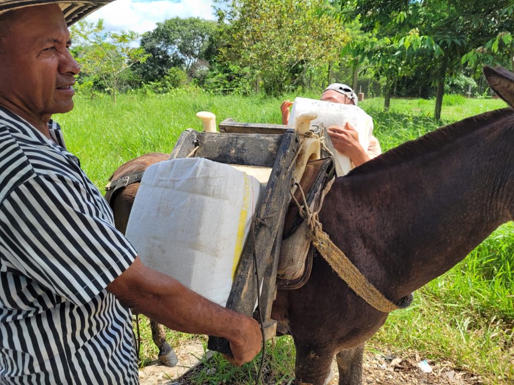 Dentro del departamento, existen más de diez mil Unidades de Producción Agropecuaria (UPAS) orientadas hacia la quesería rural.