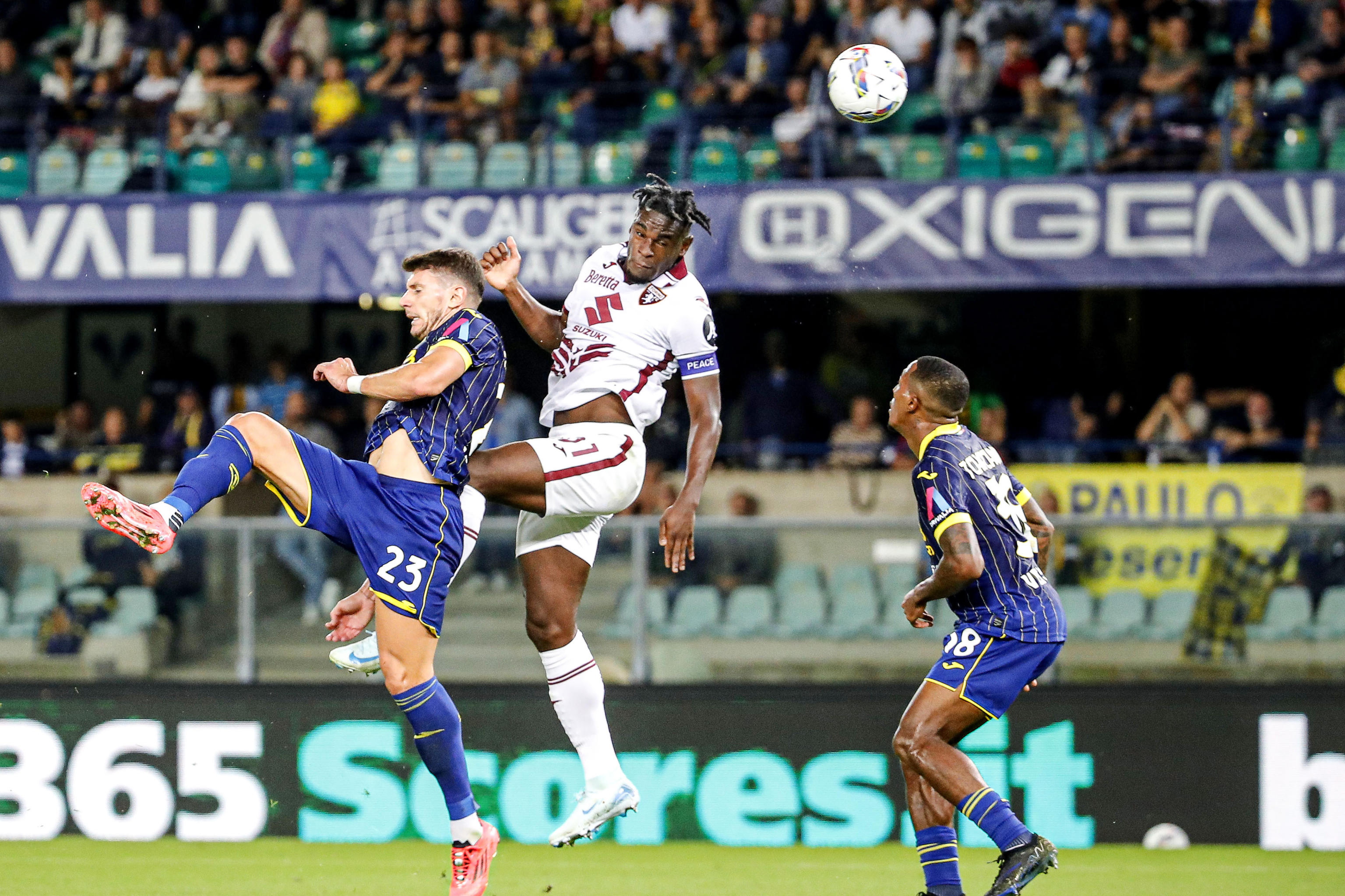 Duván Zapata, gran figura con Torino en Italia: golazo y asistencia
