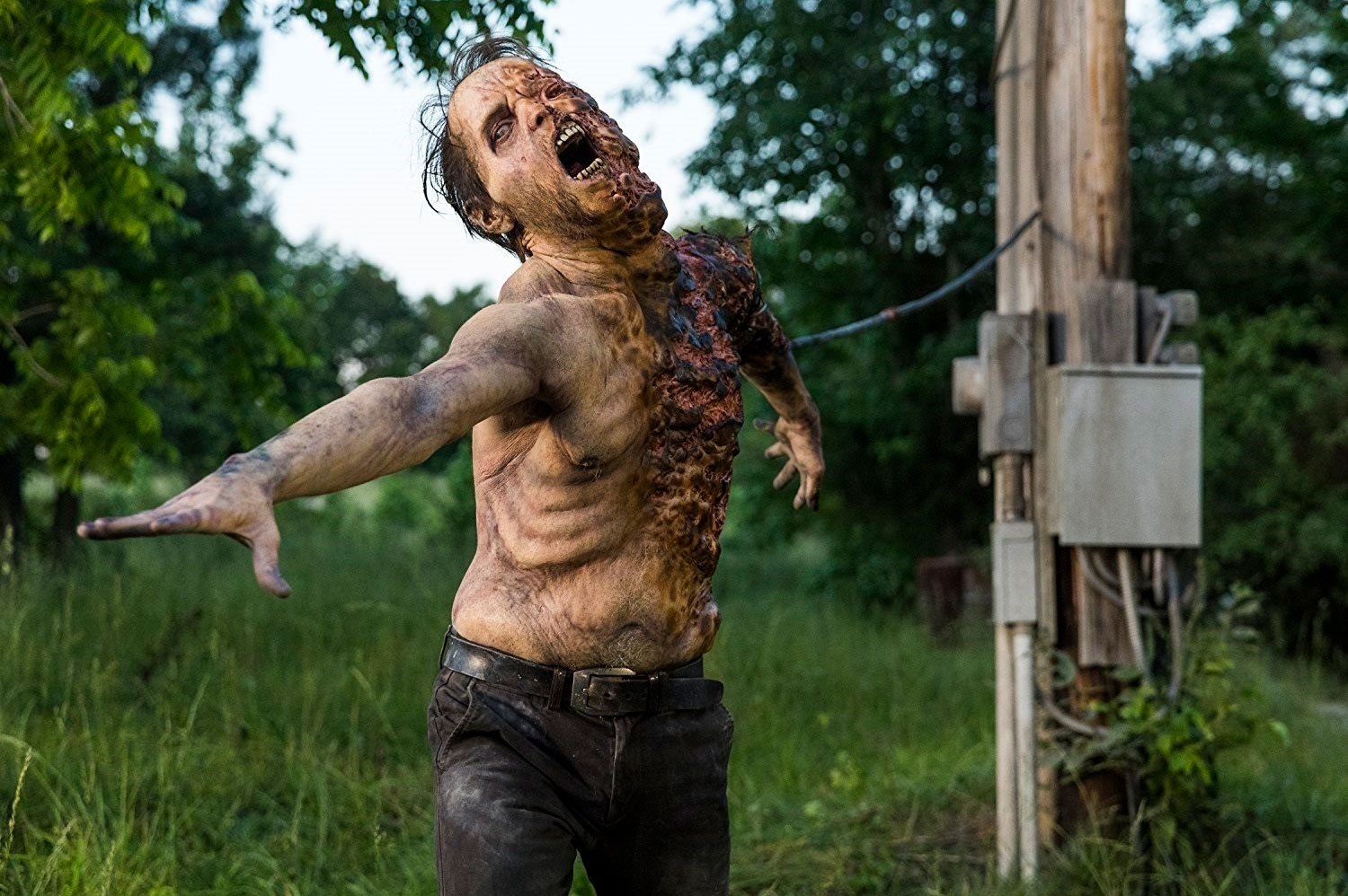 «The Walking Dead» tendrá una tercera serie inspirada en su universo