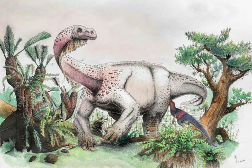 Descubren a un dinosaurio de 12 toneladas, el animal más grande que pisó la Tierra