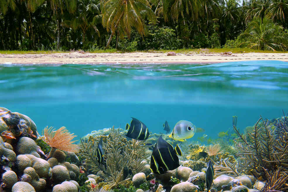 La isla del tesoro