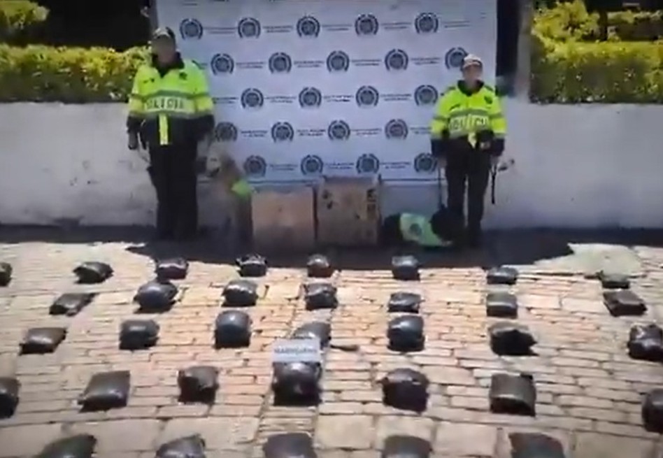Caninos incautan marihuana en Bogotá durante operativo policial