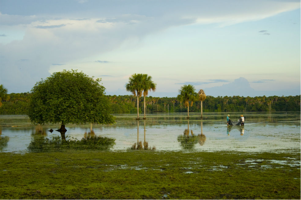 Sabanas inundables, el tesoro de la Orinoquia