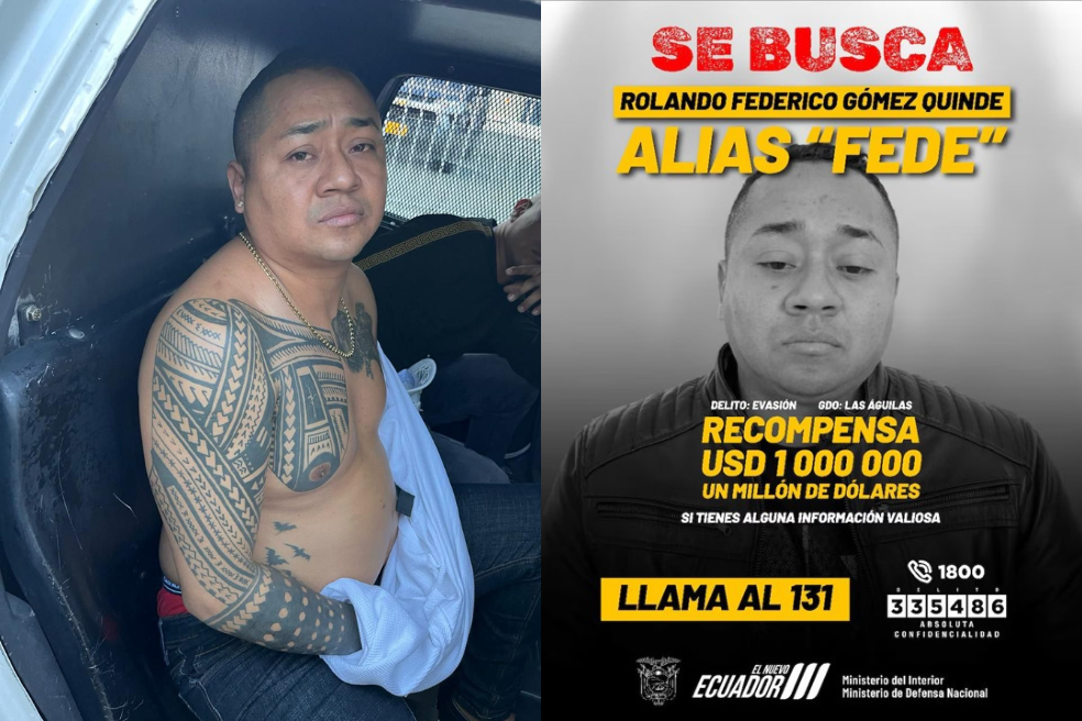 Capturaron en Antioquia a alias “Fede”, por quien ofrecían un millón de dólares