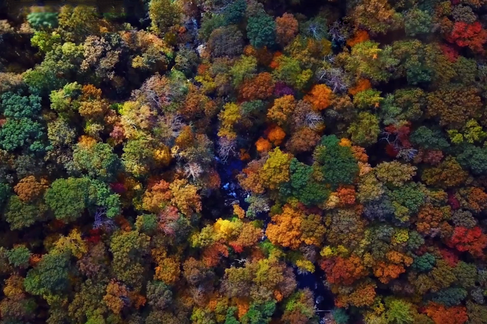 Postúlese a la incubadora de emprendimientos para cuidar el medio ambiente