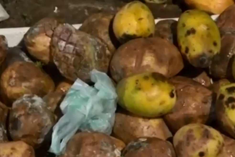 Hallan roedores y heces en algunos puestos callejeros de comida en Bogotá