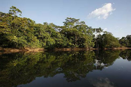 Ecuador desiste por ahora de audaz plan ambiental por necesidad de petróleo