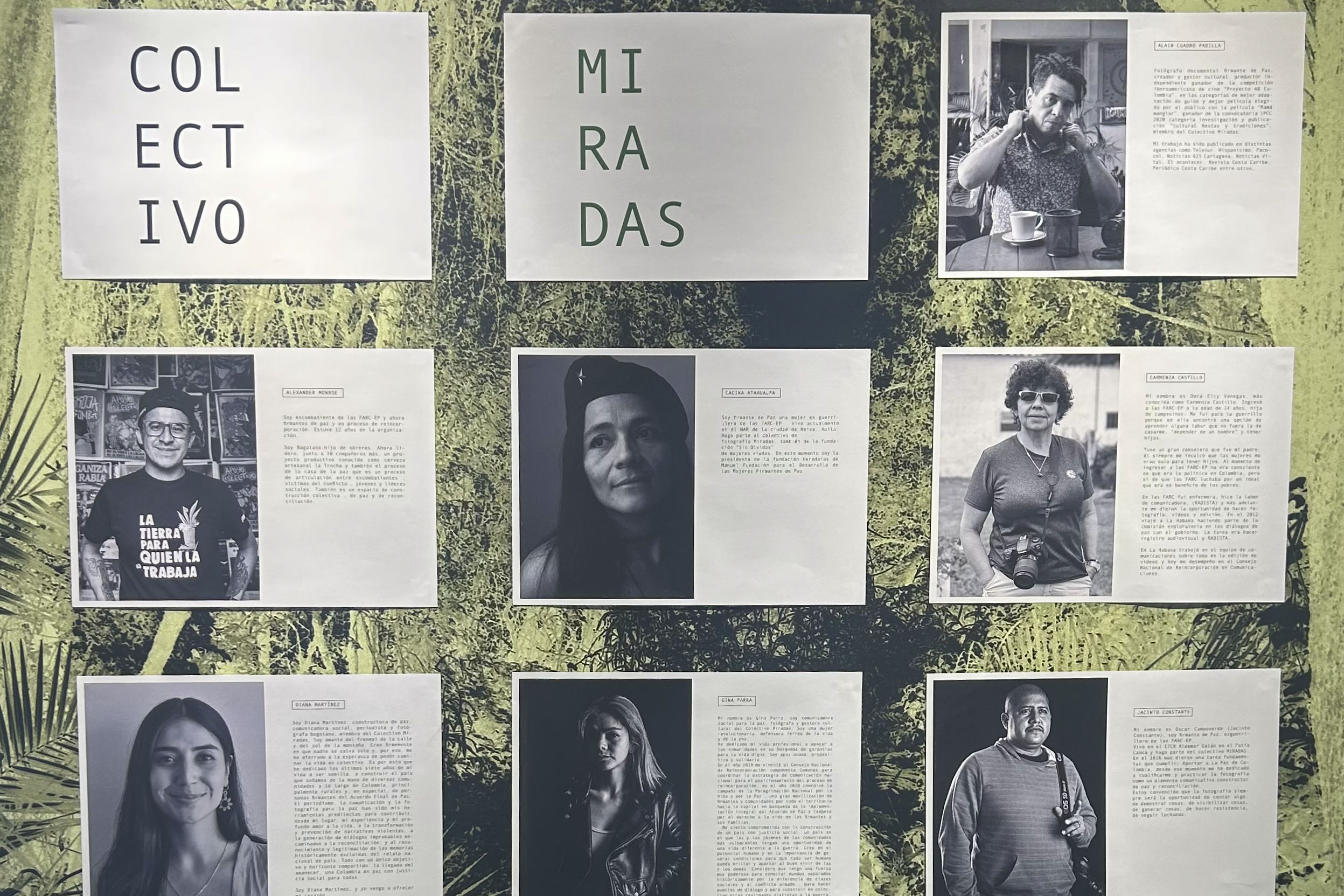 Excombatientes colombianos cambian fusiles por cámaras en  “La Paz es el Camino”