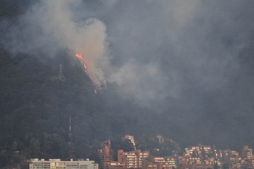 Van 50 incendios forestales en 2015