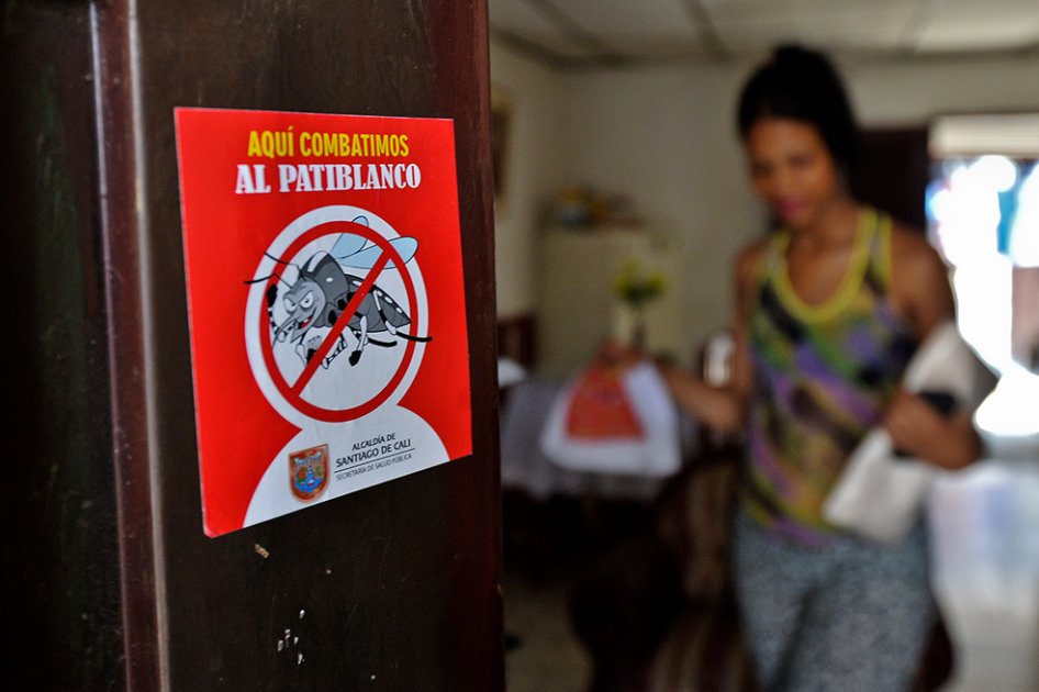 En Colombia hay 6.356 embarazadas infectadas con zika