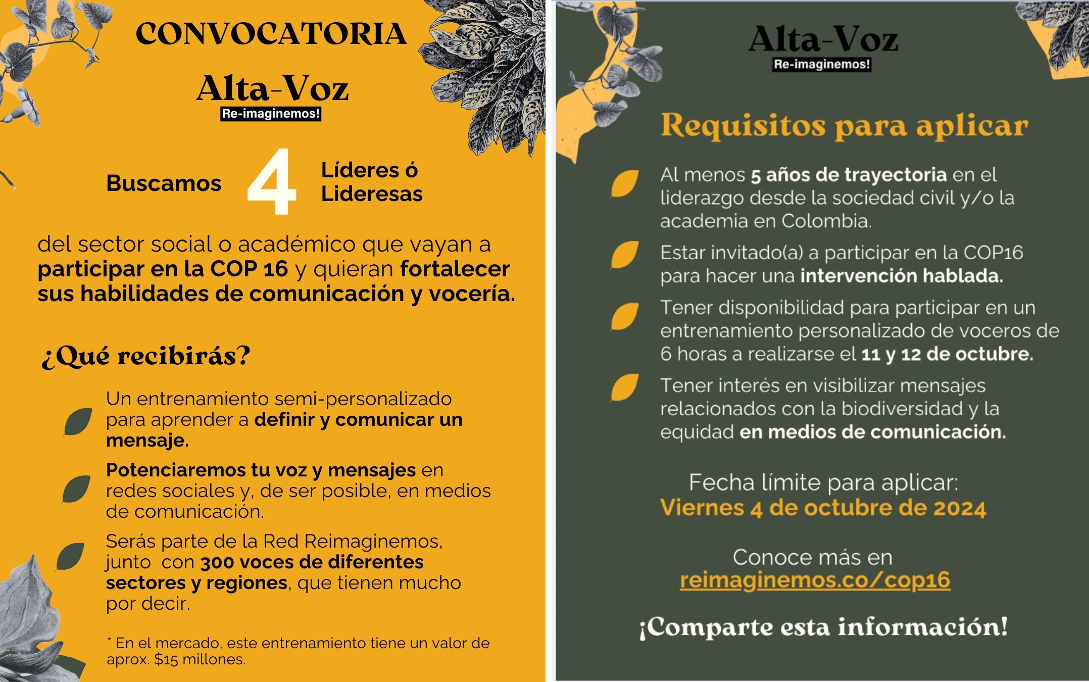 Participe en “Alta-Voz”: entrenamiento gratuito para voceros en la COP16