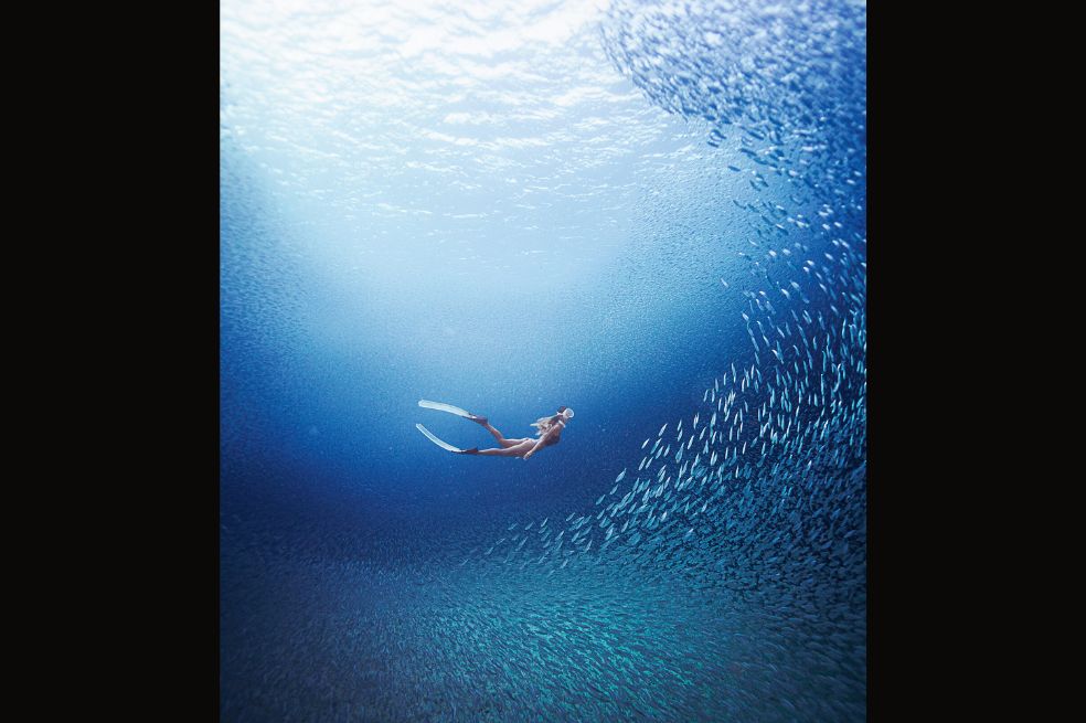 La imagen tomada por Akira Asahina de un buceador nadando cerca de un enorme banco de peces en Okinawa, Japón, obtuvo una mención honorífica.
