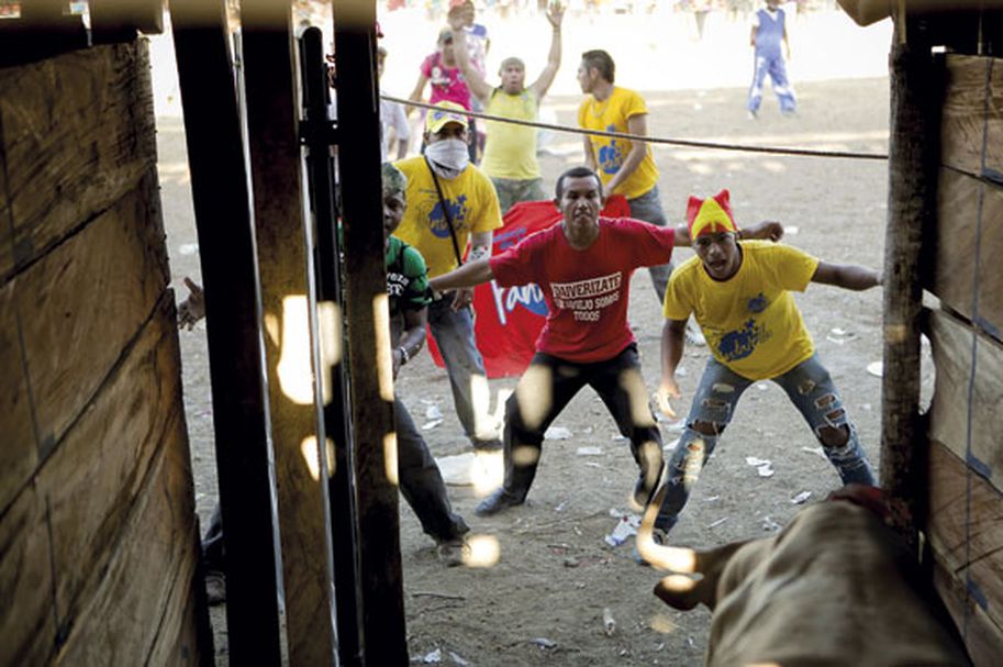 Controversia por el posible regreso de las corralejas a Caucasia, Antioquia