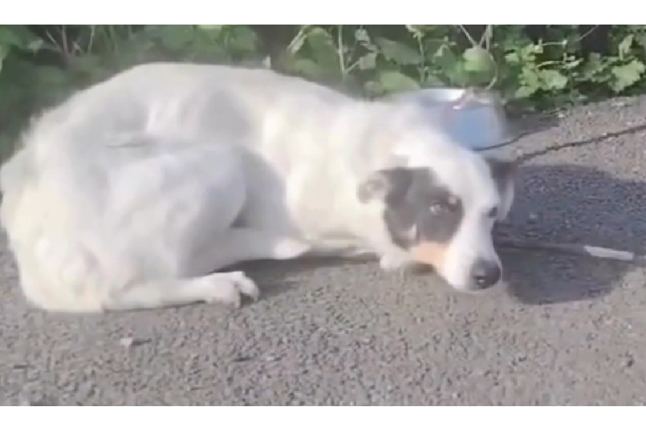 Hope fue abandonada con una nota, pero nadie sabe nada sobre su pasado