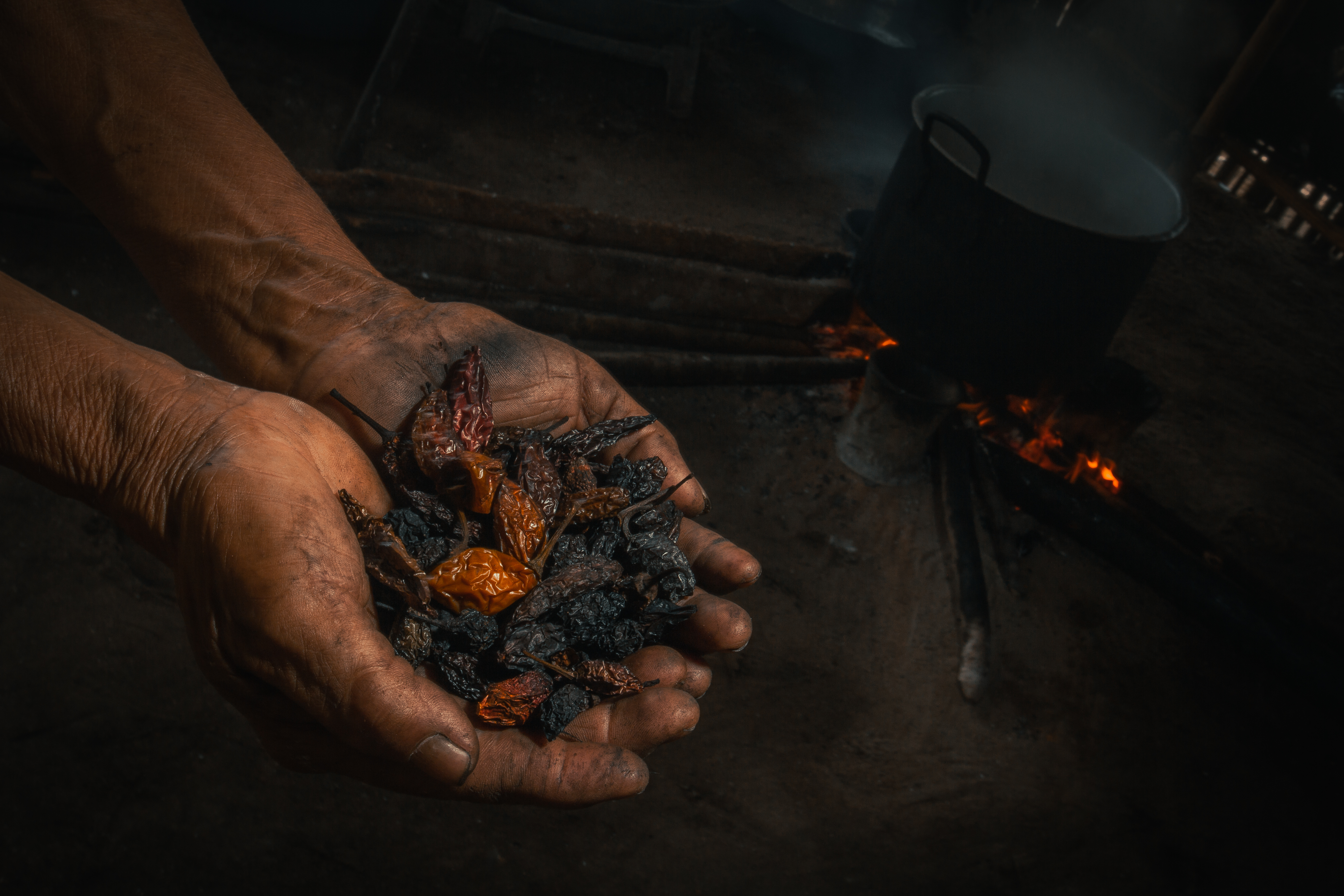 Estos son los frutos con los que puede conservar la Amazonia y aportar a su economía