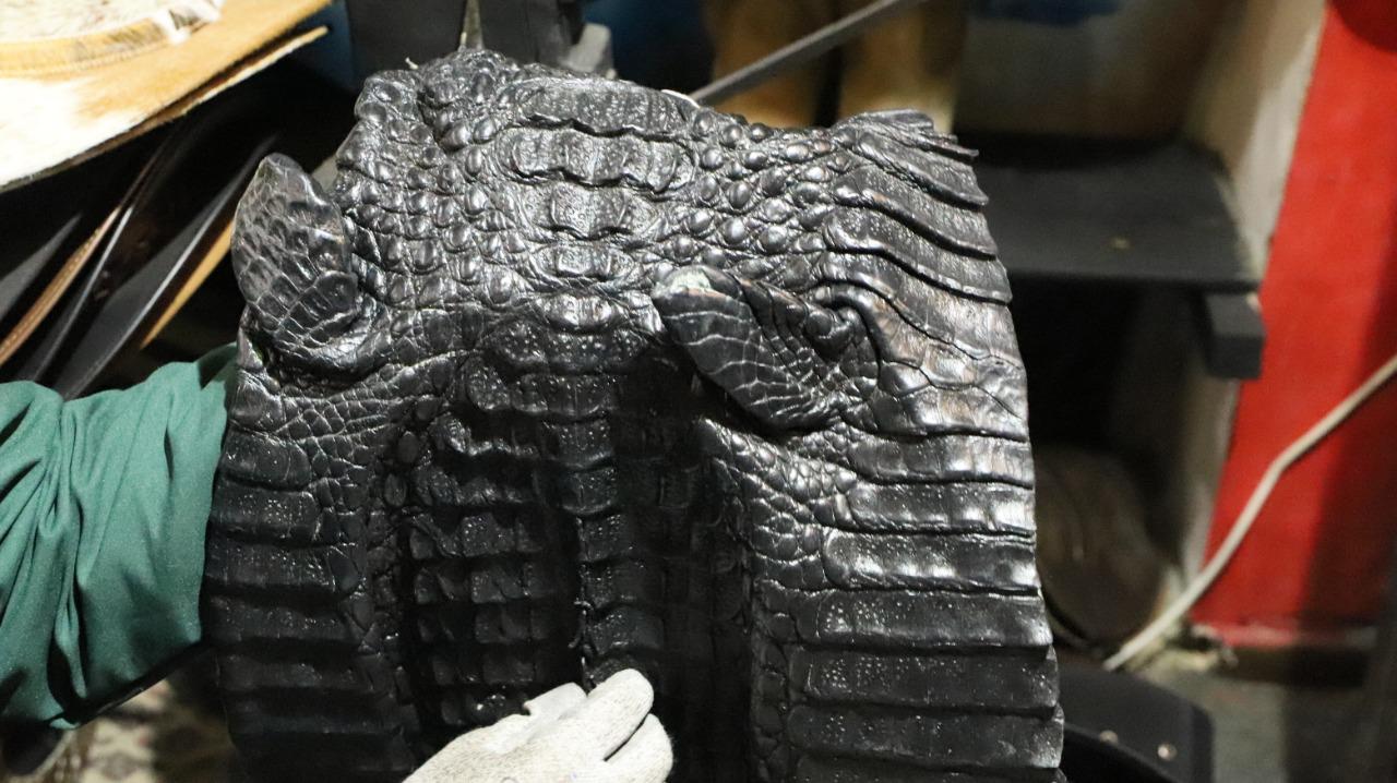 En imágenes: Incautan más de 390 artículos elaborados con piel animal, en el sur de Bogotá