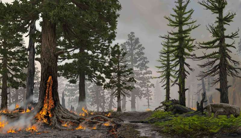 El mercurio podría ayudar a explicar la mayor extinción en la Tierra