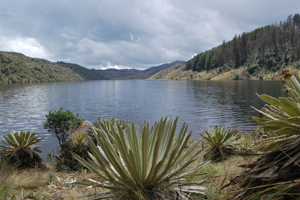 En Boyacá los campesinos recibirán una retribución por cuidar los páramos
