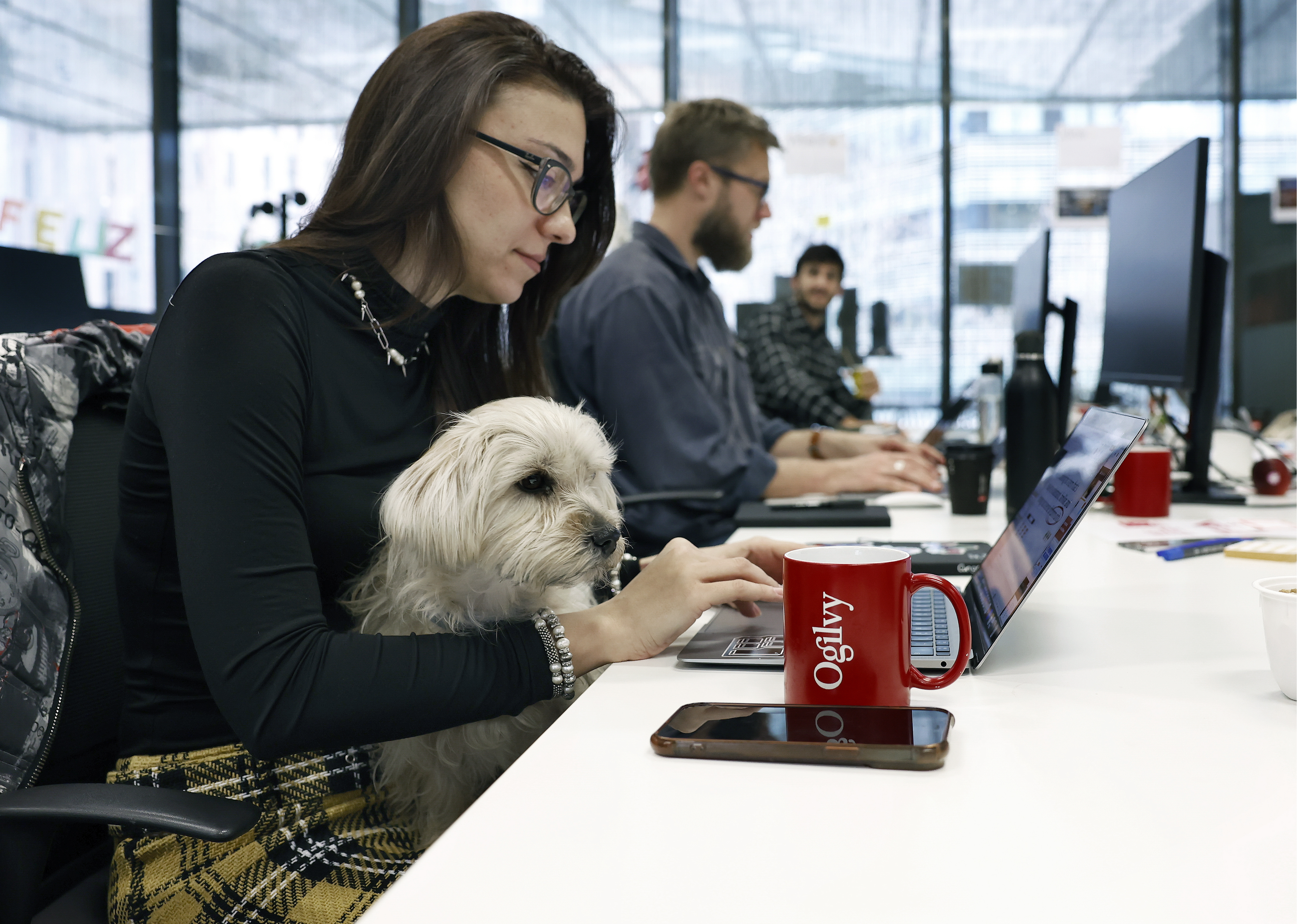Estos son los beneficios que tendrán los trabajadores con mascotas tras cambios laborales