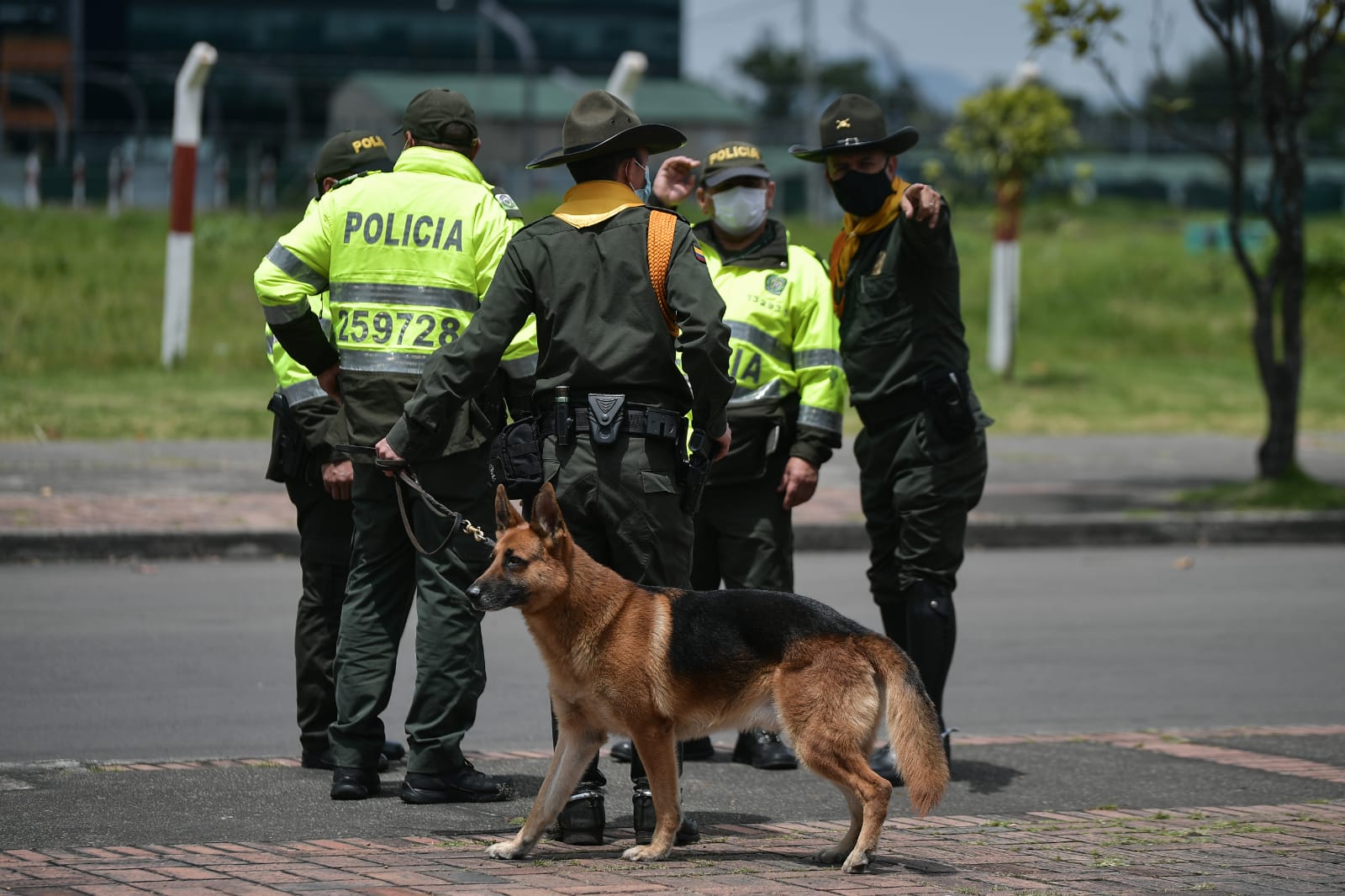También fue necesario el acompañamiento de perros antiexplosivos para confirmar o no la presencia de un artefacto. / Jose Vargas