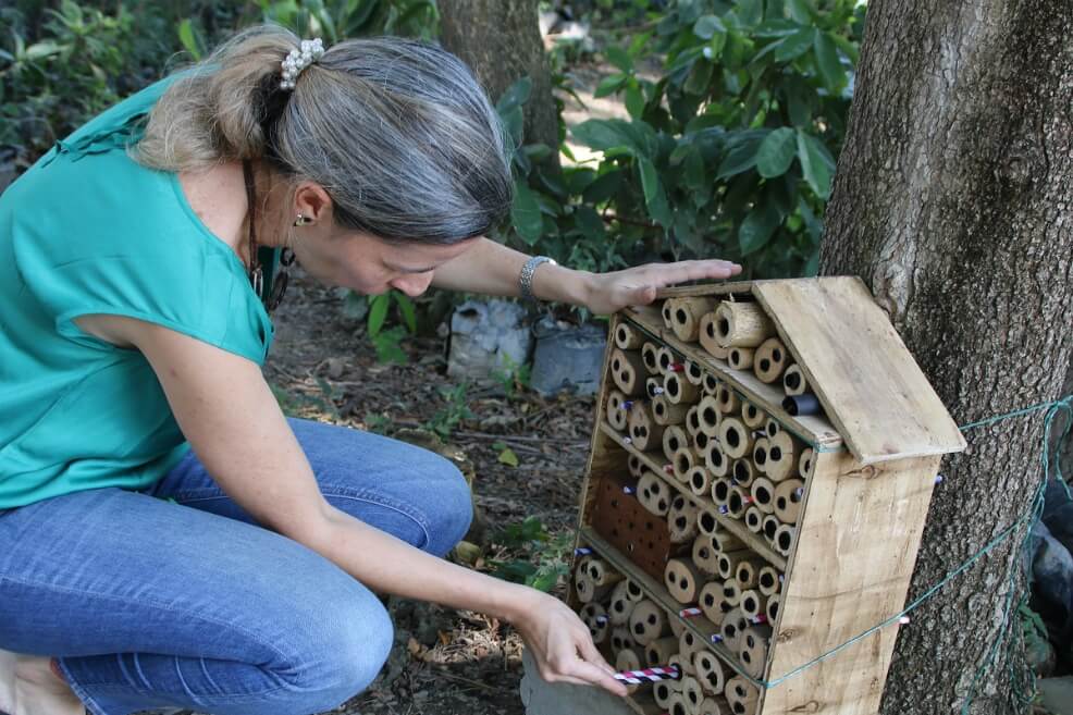 Instalan hoteles para abejas en la Universidad del Magdalena