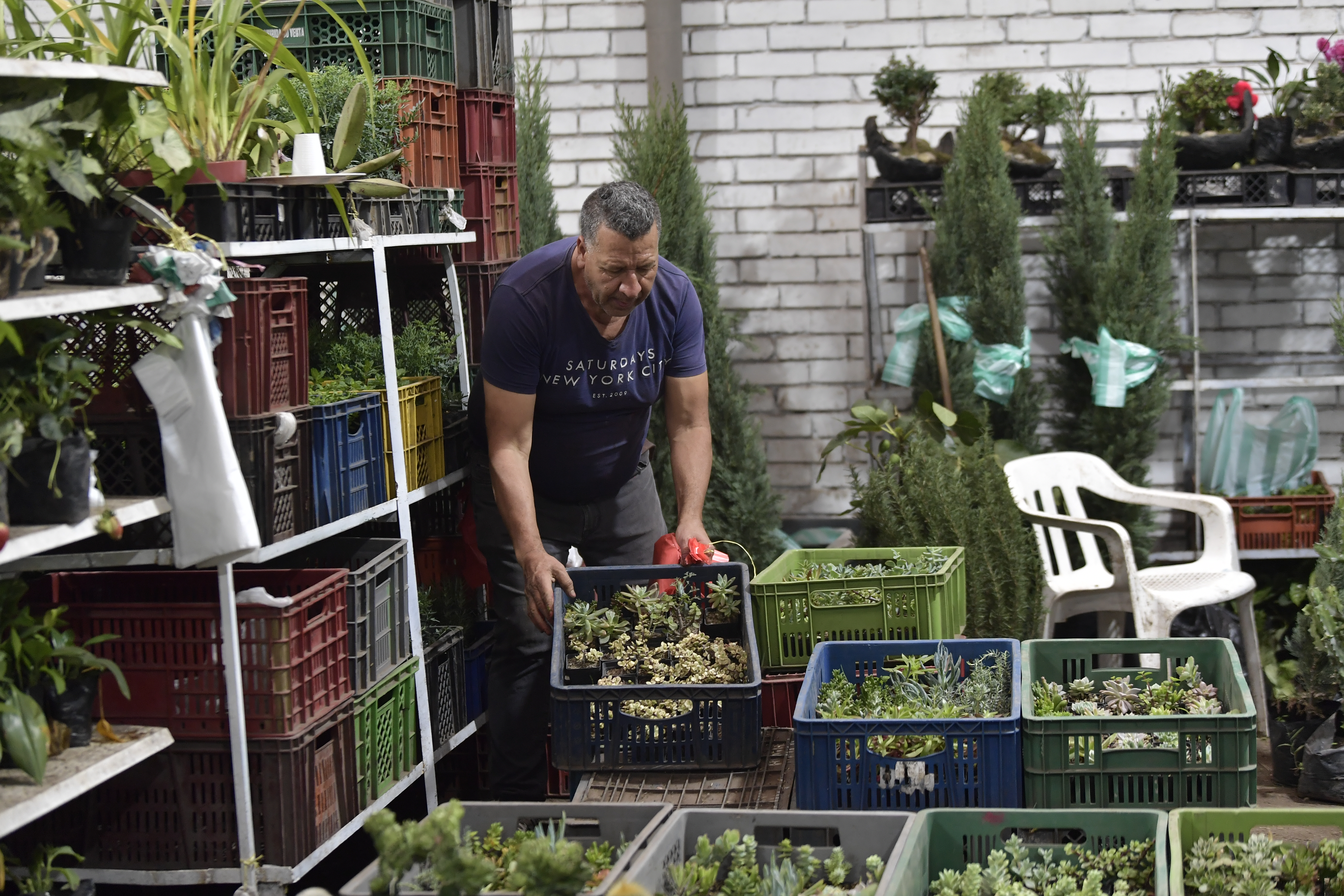 Es el segundo Mercado de Plantas Ornamentales más grande de Latinoamérica después de Brasil.
