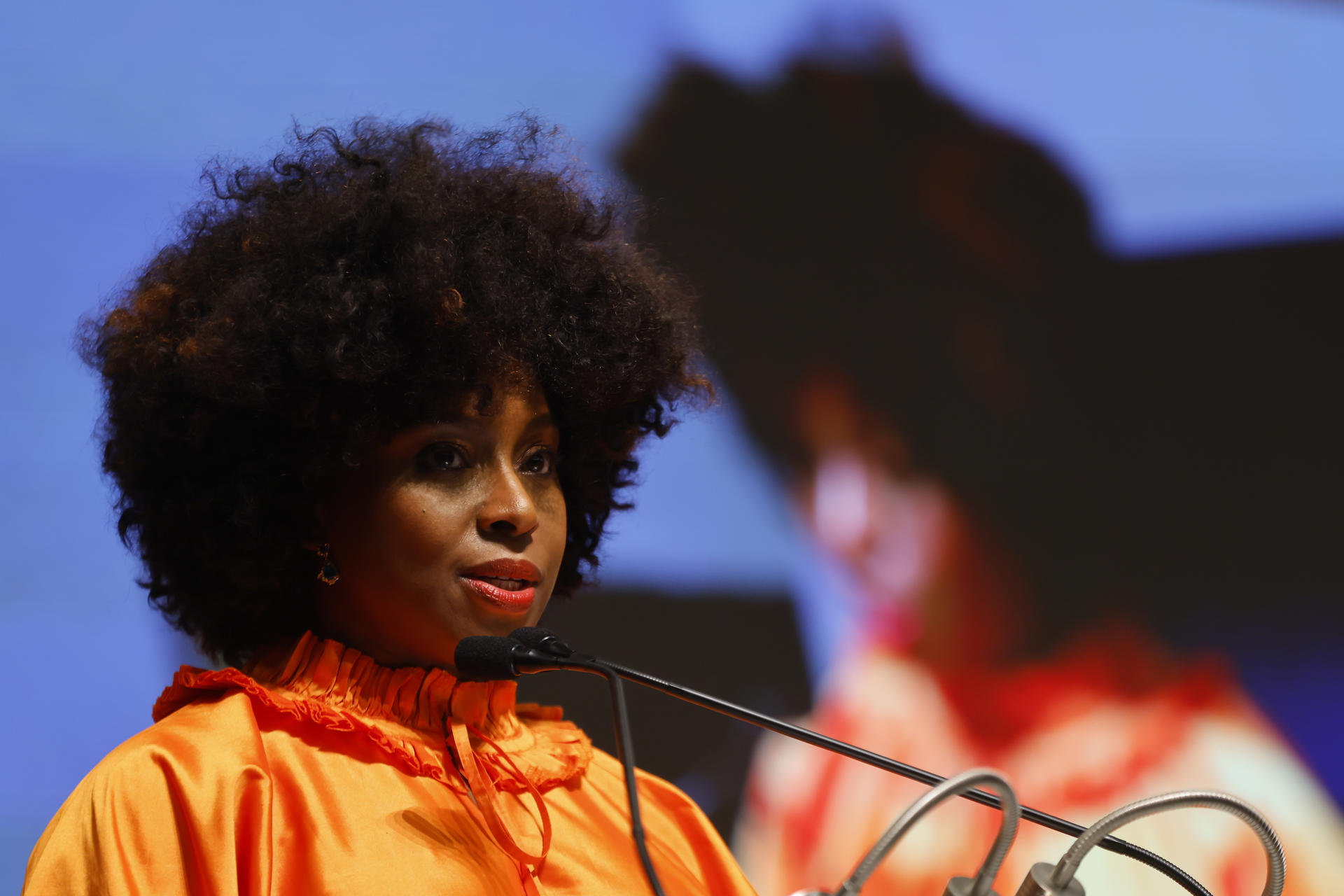 “La literatura nos ayuda a ver y a ser vistos”: Chimamanda Ngozi Adichie