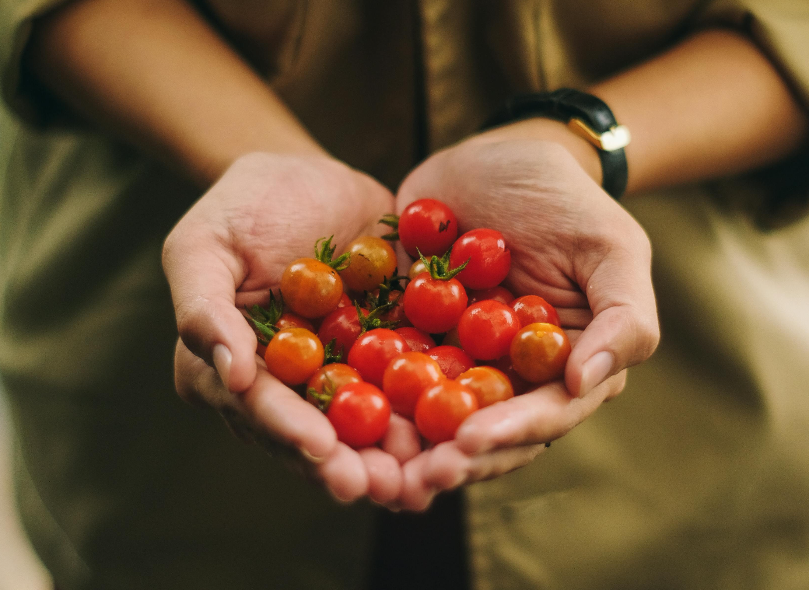 Basque Culinary Center llama a una gastronomía sostenible y responsable