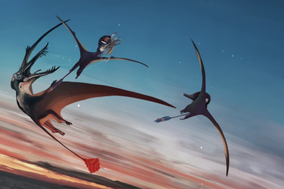 Natalia Jagielska, artista digital y becaria posdoctoral de la Universidad China de Hong Kong, ganó el primer premio de la categoría “La vida en movimiento” por su imagen de pterosaurios volando sobre la cuenca jurásica de las Hébridas.