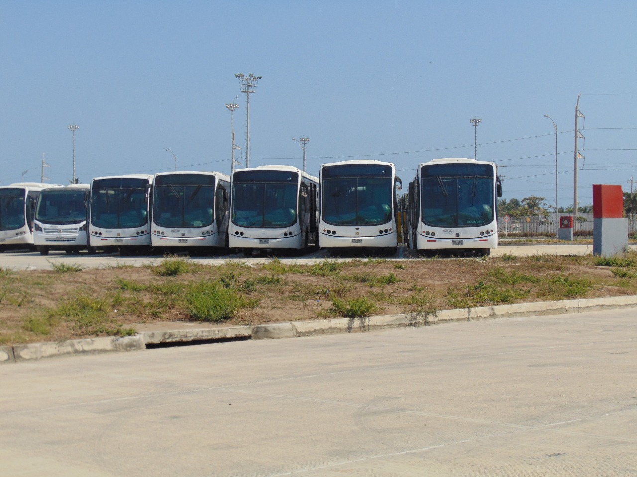 Operador de Transmetro solo tiene recursos para funcionar hasta el 9 de agosto