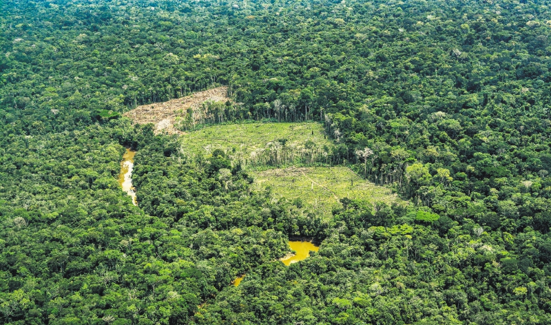 Lo que está en juego con la demanda más ambiciosa para recuperar las tierras de los nukaks