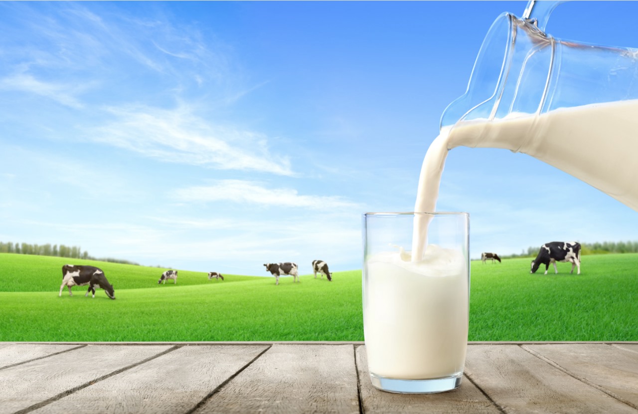 Día mundial de la leche: Alpina y ABACO se unen para llevar más de 27.000 vasos
