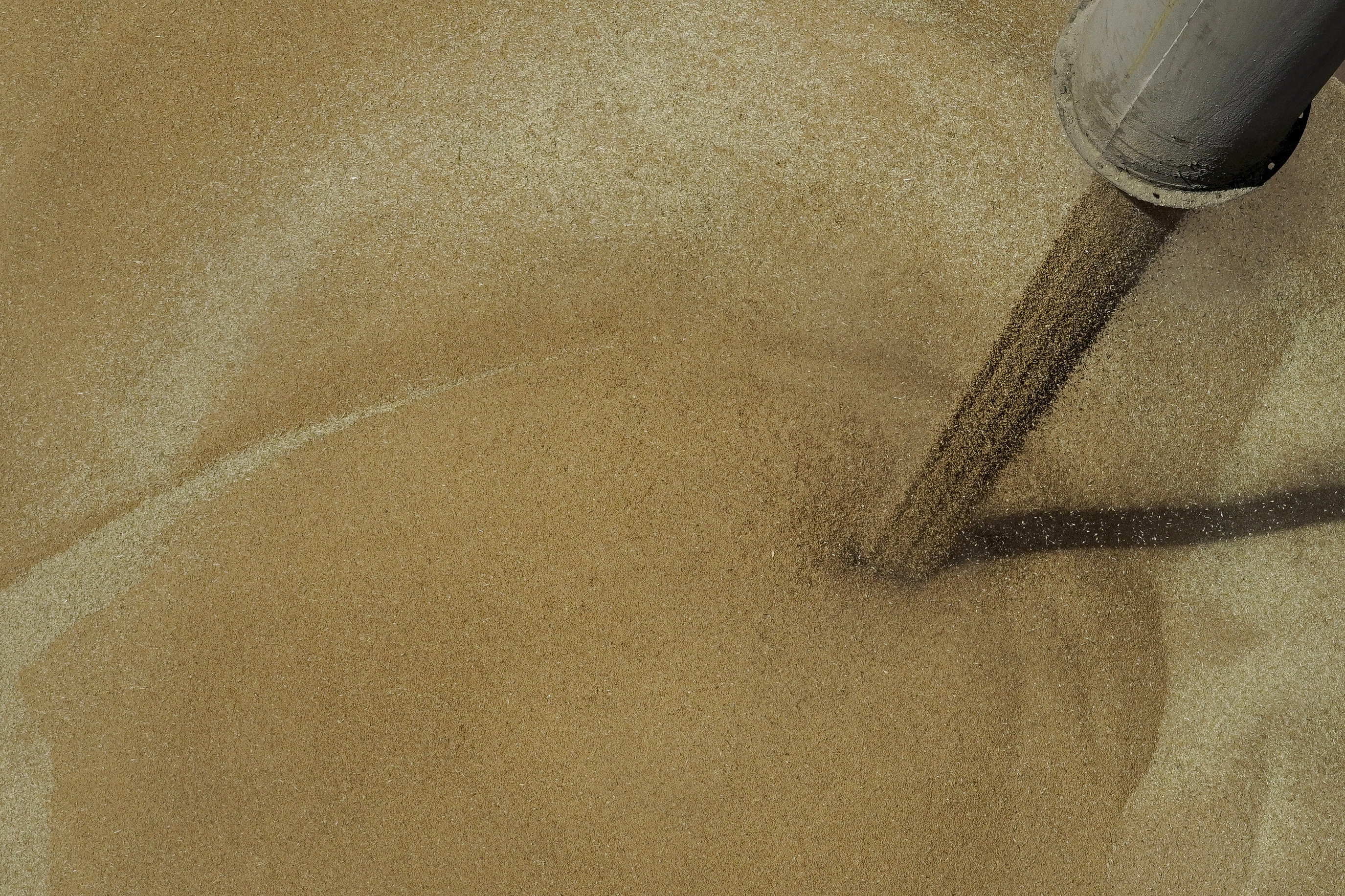 Cereales y aceites vegetales reducen precios mundiales de alimentos en mayo: FAO